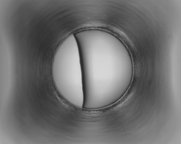 X0000113570833200909180958