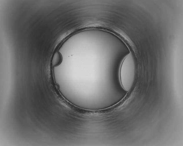 X0000113570834200909180958