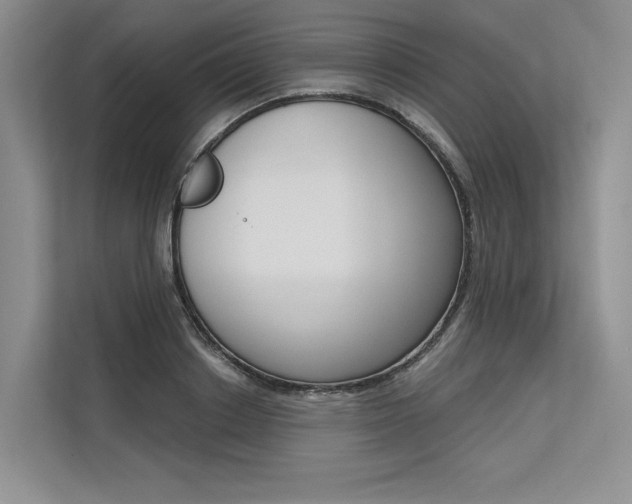 X0000113570842200909180958
