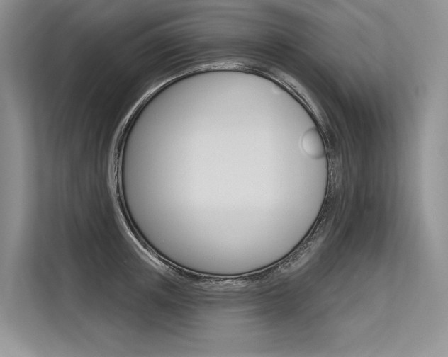 X0000113570851200909180958