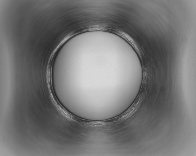 X0000113570859200909180958