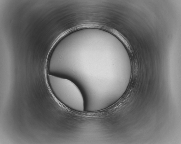 X0000113570861200909180958