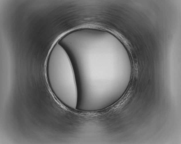 X0000113570862200909180958