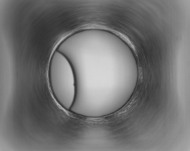 X0000113570863200909180958