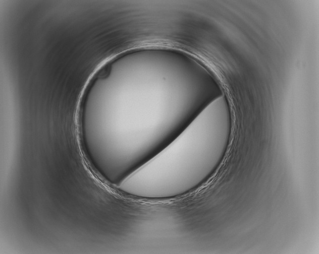 X0000113570864200909180958