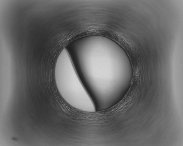 X0000113570868200909180957