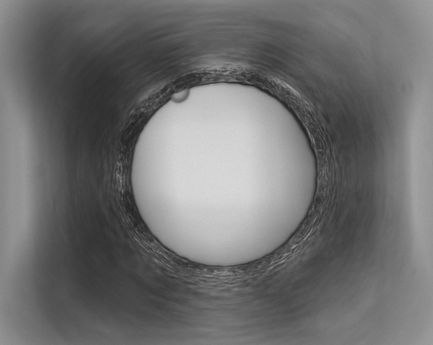 X0000113570869200909180957