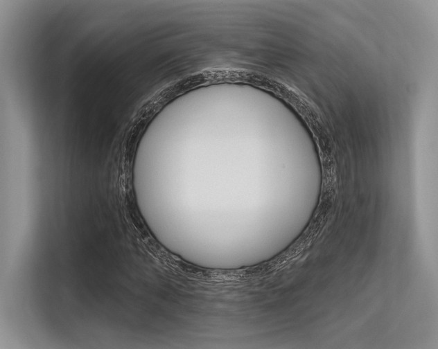 X0000113570870200909180957