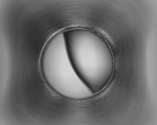 X0000113570876200909180957
