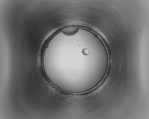 X0000113570877200909180957