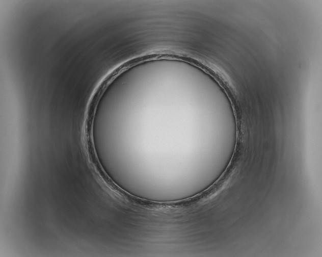 X0000113570880200909180957