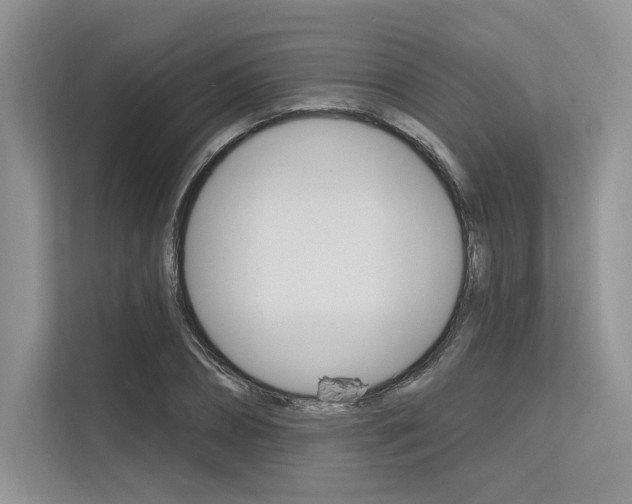 X0000113570882200909180957
