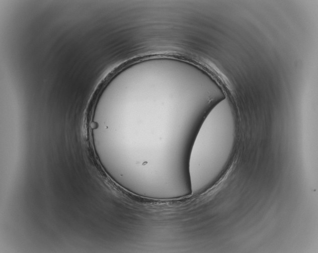 X0000113570883200909180957