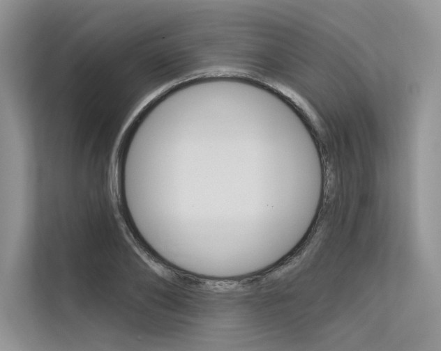 X0000113570886200909180957