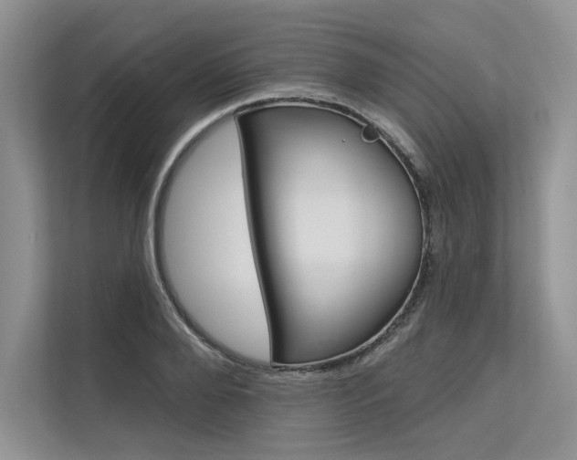 X0000113570888200909180957