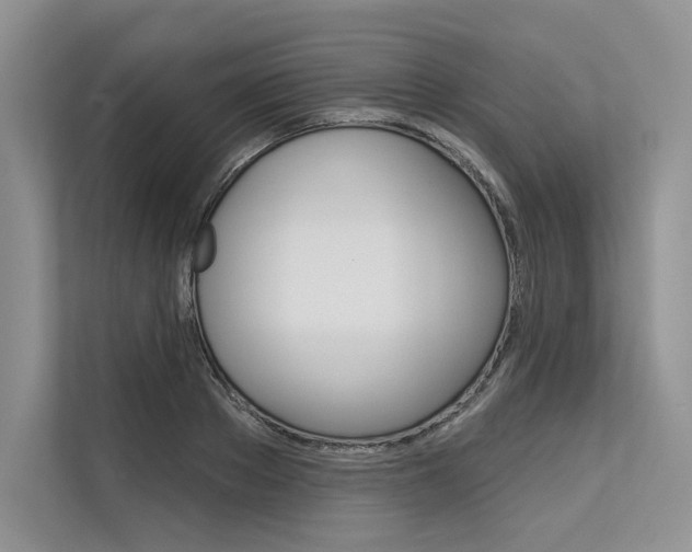X0000113570889200909180957