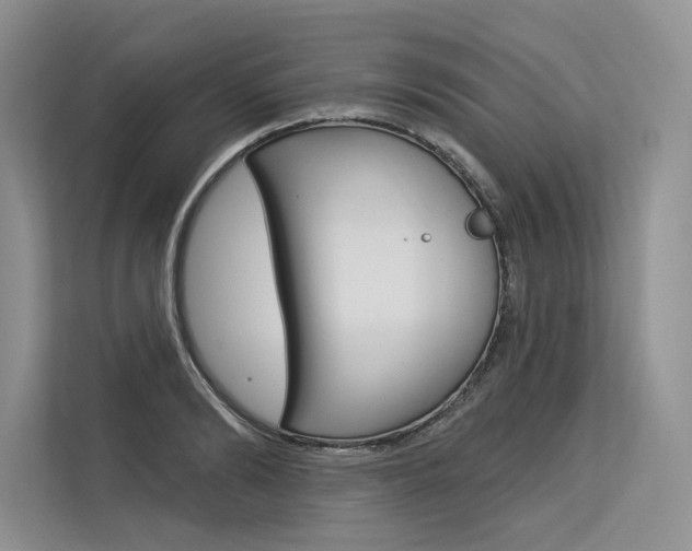 X0000113570894200909180957