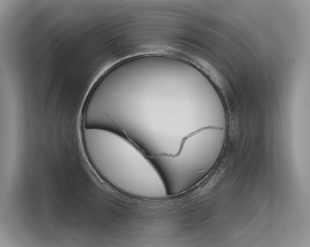 X0000113570899200909180957