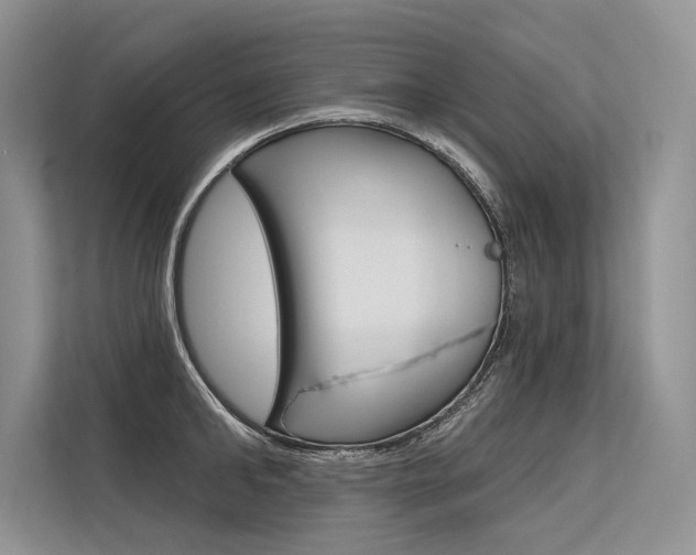 X0000113570902200909180957