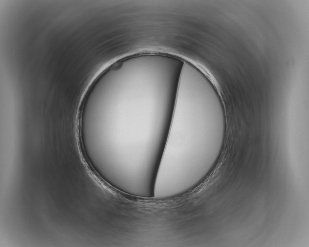 X0000113570903200909180957