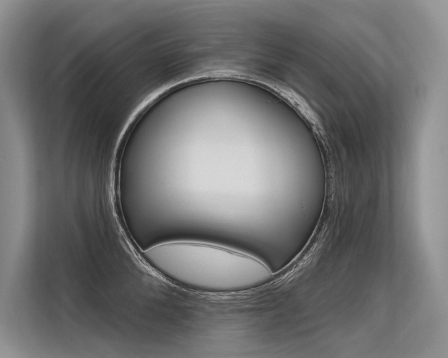 X0000113570904200909180957