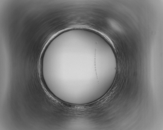 X0000113570911200909180957