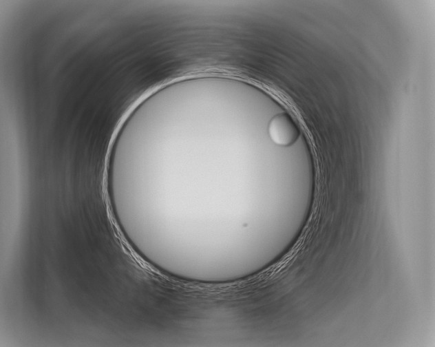 X0000113570912200909180957