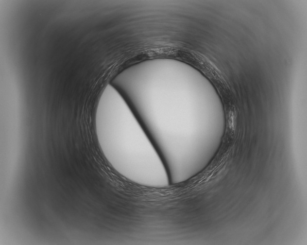 X0000113570915200909180956