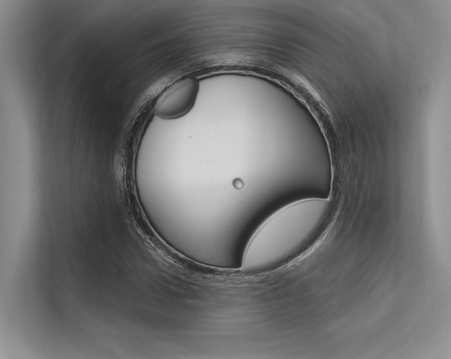 X0000113570922200909180956