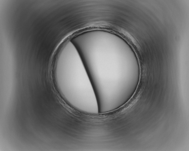 X0000113570923200909180956
