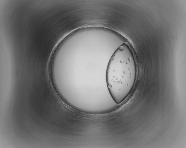 X0000113570925200909180956