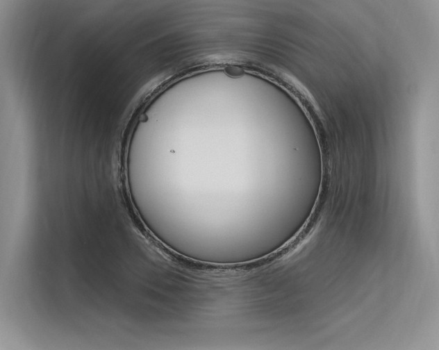 X0000113570930200909180956