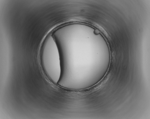 X0000113570931200909180956
