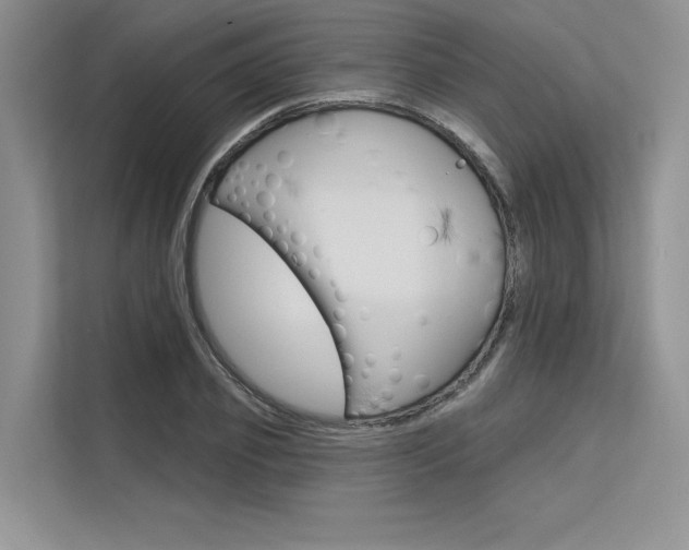 X0000113570933200909180956