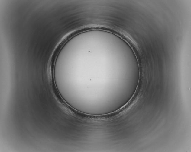 X0000113570934200909180956
