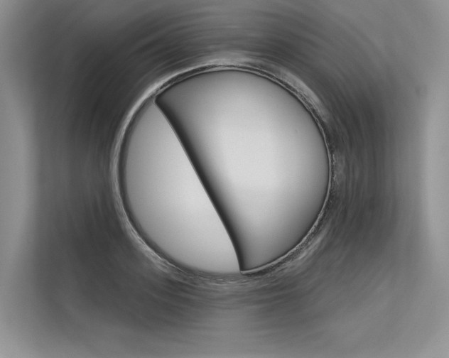 X0000113570939200909180956