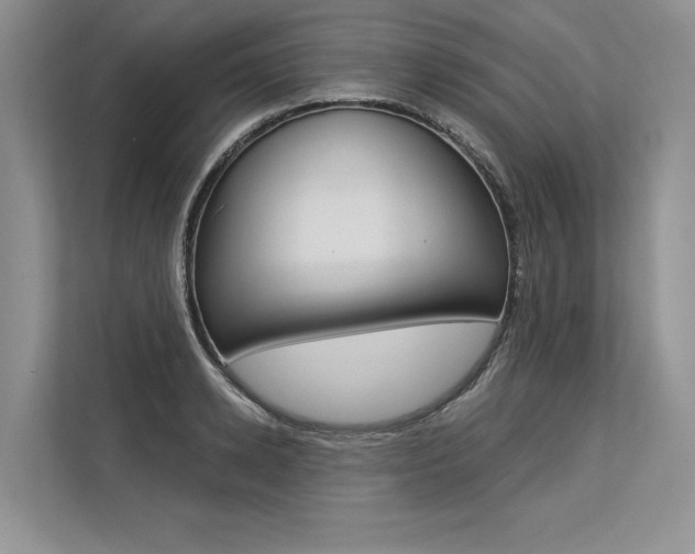 X0000113570942200909180956