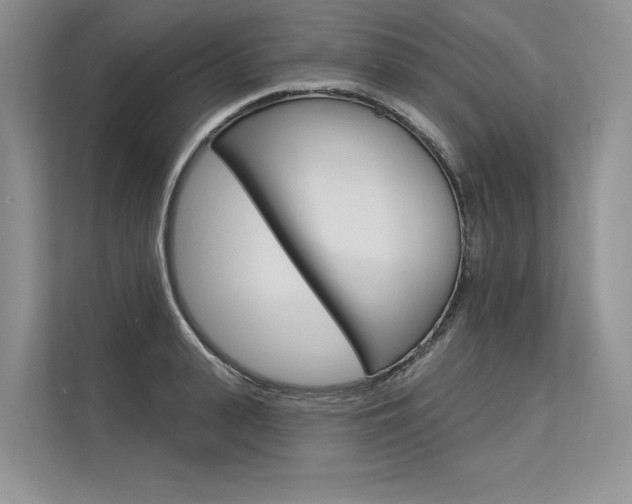 X0000113570943200909180956