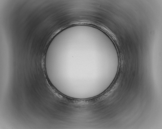 X0000113570945200909180956