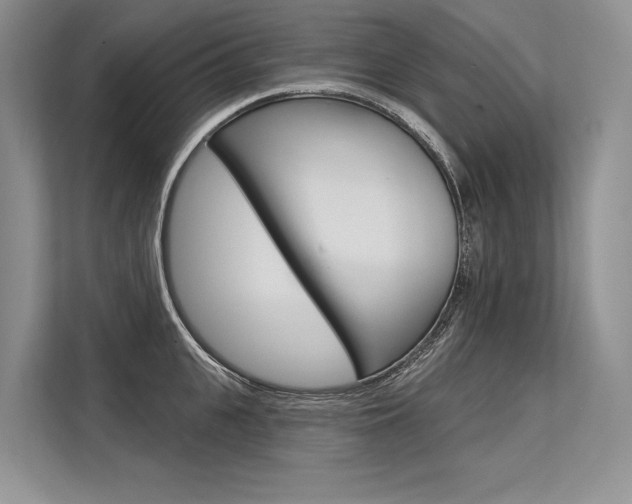 X0000113570951200909180957