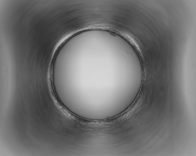 X0000113570952200909180957