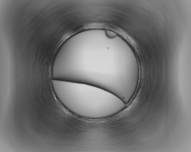 X0000113570953200909180957