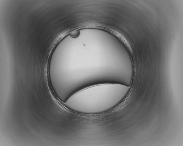X0000113570954200909180957