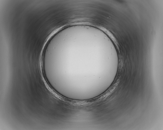 X0000113570957200909180957