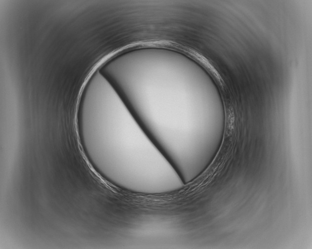 X0000113570959200909180957