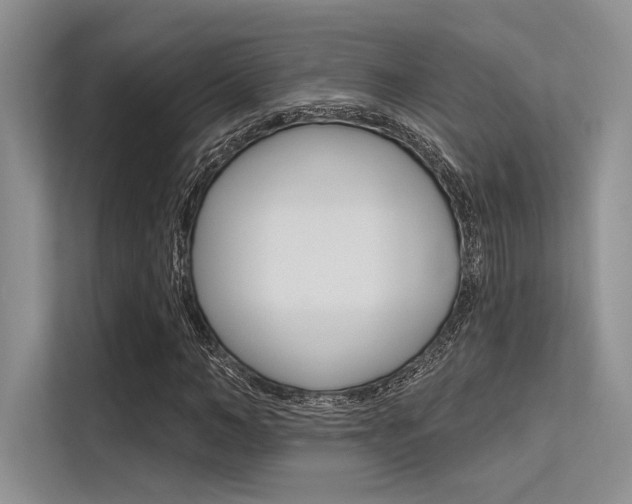 X0000113570966200909180956