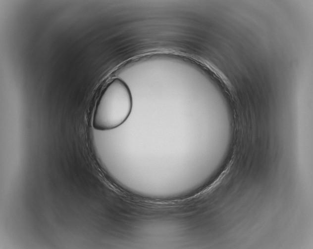 X0000113570969200909180956