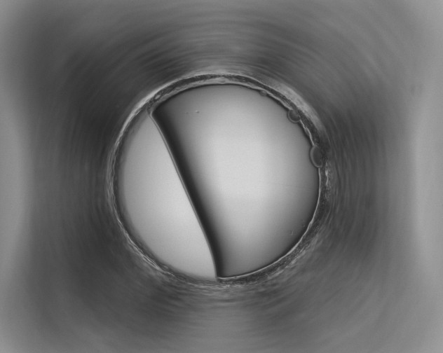 X0000113570972200909180956