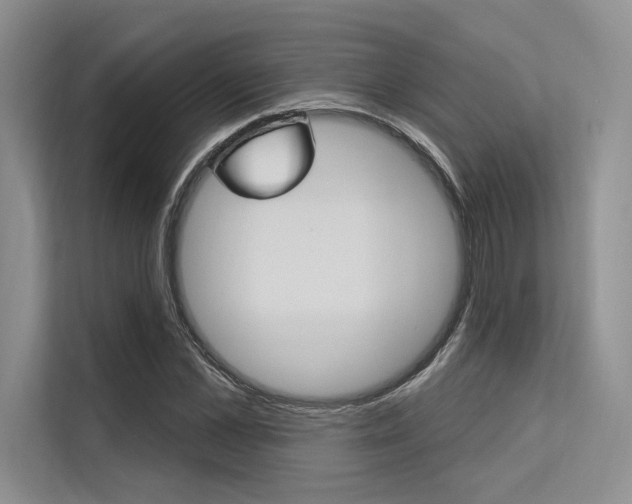 X0000113570973200909180956