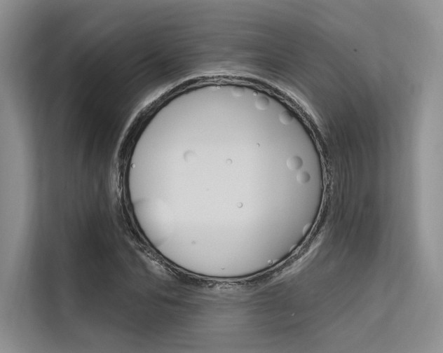 X0000113570974200909180956